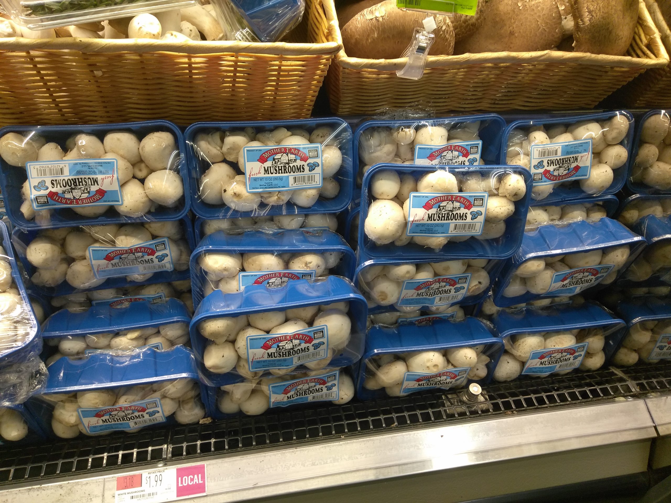 magicmushroomsupply